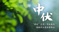 【三伏養(yǎng)生】至熱中伏，吃三樣，喝三樣，三大禁忌千萬(wàn)別犯，小心落下病根！