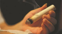【艾灸知識】春暖花開，衣衫漸薄，再不減肥，身上的肉肉可藏不住了！