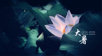 【二十四節(jié)氣灸】趁大暑好好艾灸，才不辜負(fù)三伏天的驕陽！