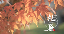 【二十四節(jié)氣灸】處暑，冬病夏治倒計(jì)時(shí)！秋涼真的要來了！