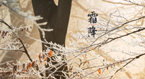 【二十四節(jié)氣灸】霜降節(jié)氣：艾灸四穴，護您冬天安然無恙！