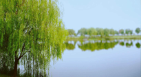 【艾灸知識】春三月，必艾灸穴位：疏肝理氣，養(yǎng)血調(diào)神！