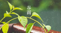 【二十四節(jié)氣灸】谷雨節(jié)氣脾土濕，艾灸降濕濁，脾旺不受邪！