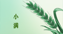 【二十四節(jié)氣灸】小滿節(jié)氣記得艾灸，悠悠長夏，健康度過！
