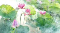 【養(yǎng)生知識】花開半夏，夏至養(yǎng)生，這些知識一定要牢記！