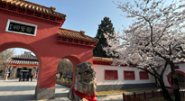 【行業(yè)資訊】新華財經(jīng)：守正創(chuàng)新，中醫(yī)藥品牌化發(fā)展“更上一層樓”！